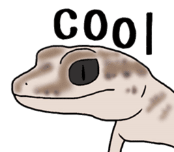 geckos sticker #6757200