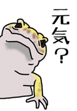 geckos sticker #6757202