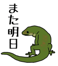 geckos sticker #6757204