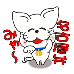 Nagoya's dialect cat