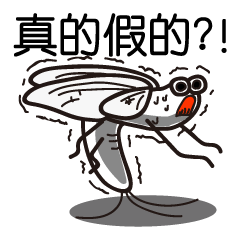 Easy to use Taiwanese. MAYFLY