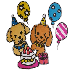 Everyday of love Toy Poodle