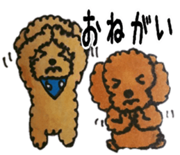 Everyday of love Toy Poodle sticker #6760012