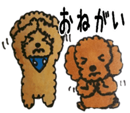 Everyday of love Toy Poodle sticker #6760012