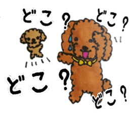 Everyday of love Toy Poodle sticker #6760023
