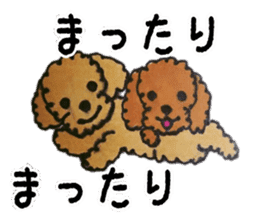 Everyday of love Toy Poodle sticker #6760031