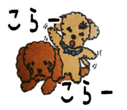 Everyday of love Toy Poodle sticker #6760037