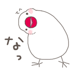 White Java sparrow (Kansai dialect)2