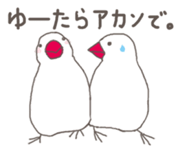 White Java sparrow (Kansai dialect)2 sticker #6761501