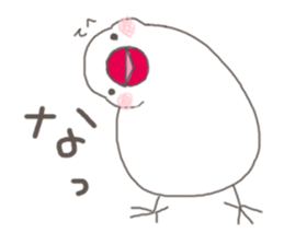 White Java sparrow (Kansai dialect)2 sticker #6761503