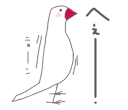 White Java sparrow (Kansai dialect)2 sticker #6761505
