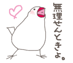 White Java sparrow (Kansai dialect)2 sticker #6761515