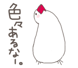 White Java sparrow (Kansai dialect)2 sticker #6761518