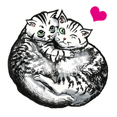 Black and White/monotone cats.