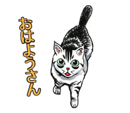 Black and White/monotone cats. sticker #6762568