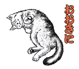 Black and White/monotone cats. sticker #6762570