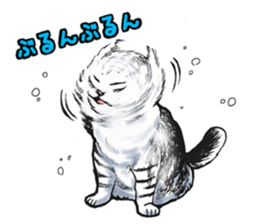 Black and White/monotone cats. sticker #6762573