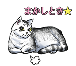 Black and White/monotone cats. sticker #6762576