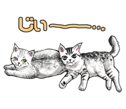 Black and White/monotone cats. sticker #6762578