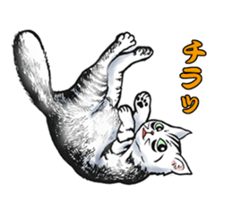 Black and White/monotone cats. sticker #6762580