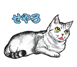 Black and White/monotone cats. sticker #6762581