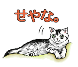 Black and White/monotone cats. sticker #6762582