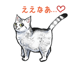 Black and White/monotone cats. sticker #6762585