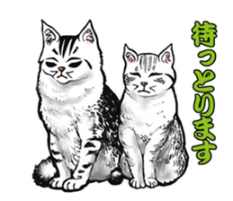 Black and White/monotone cats. sticker #6762589
