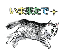 Black and White/monotone cats. sticker #6762591