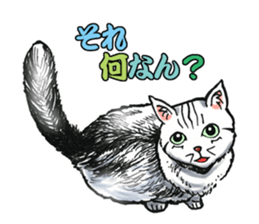 Black and White/monotone cats. sticker #6762592