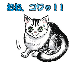 Black and White/monotone cats. sticker #6762594