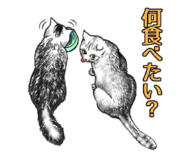 Black and White/monotone cats. sticker #6762596