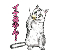 Black and White/monotone cats. sticker #6762597