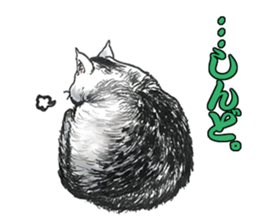 Black and White/monotone cats. sticker #6762604