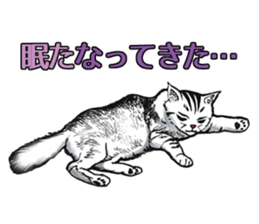 Black and White/monotone cats. sticker #6762606
