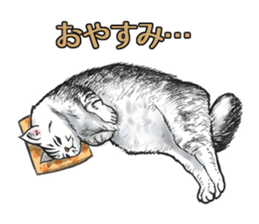 Black and White/monotone cats. sticker #6762607