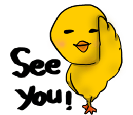 I am now Bird English version sticker #6764047