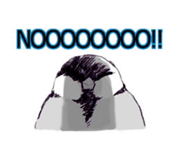 Birds live at their own pace.  (English) sticker #6764658