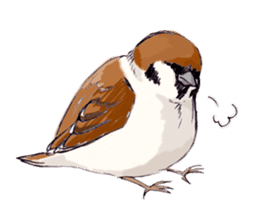 Birds live at their own pace.  (English) sticker #6764671