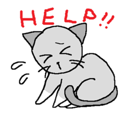 The cat,Miyukichi! sticker #6765638