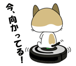 Shiri-Hachi The Cat sticker #6766398