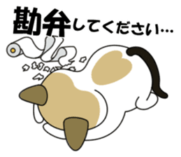 Shiri-Hachi The Cat sticker #6766400