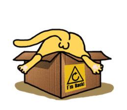 Cat Love Box sticker #6772614