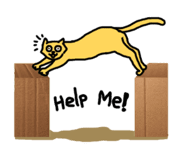 Cat Love Box sticker #6772638