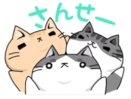 three cats life sticker #6773370