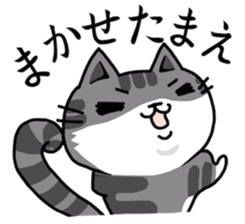 three cats life sticker #6773378