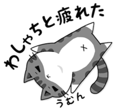 three cats life sticker #6773381