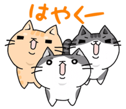 three cats life sticker #6773394