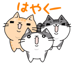 three cats life sticker #6773394