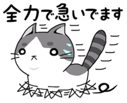 three cats life sticker #6773396